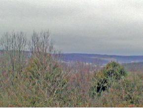 0 Bull Creek Road Whitney Point, NY 13862 - Photo 5 of 6 Gallery Image 5