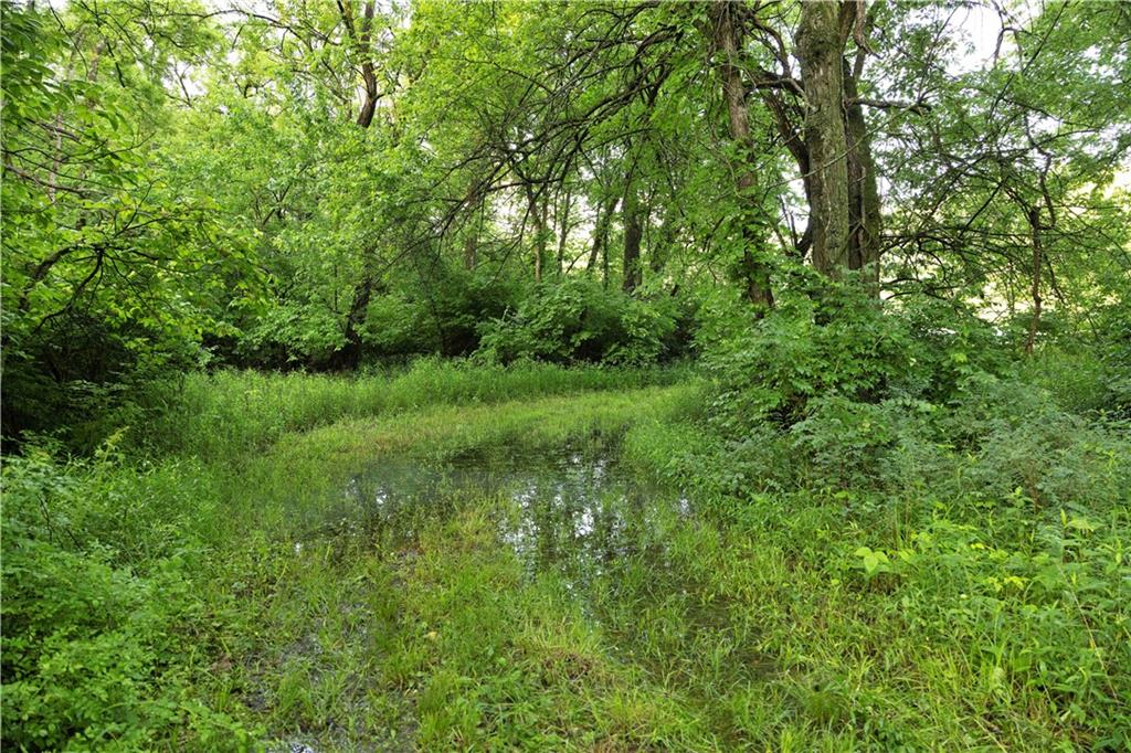 Wilderness Camp Road Lawson, MO 64062 - Photo 27 of 90