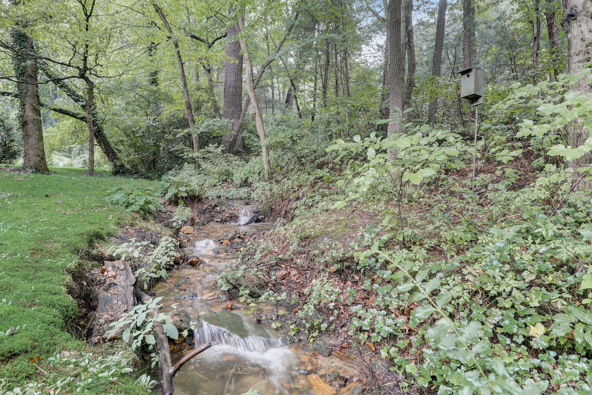4 Bramblewood Road, Unit 8 Arden, NC 28704 - Photo 25 of 25 a view of a forest with lots of trees