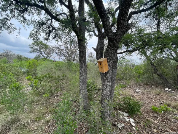 a view of a chairs in a backyard