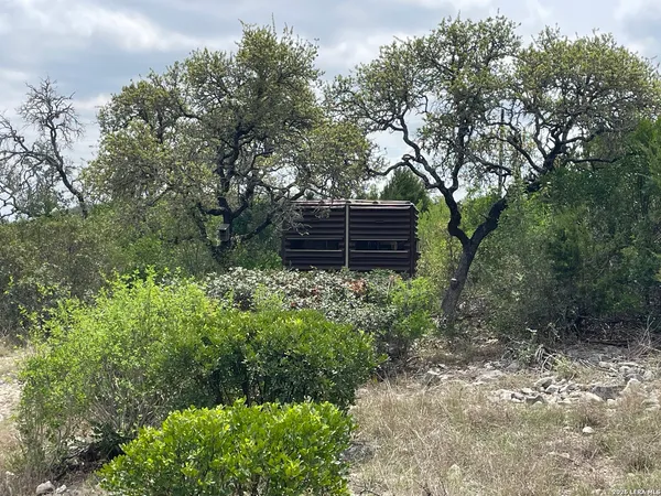 a view of a yard
