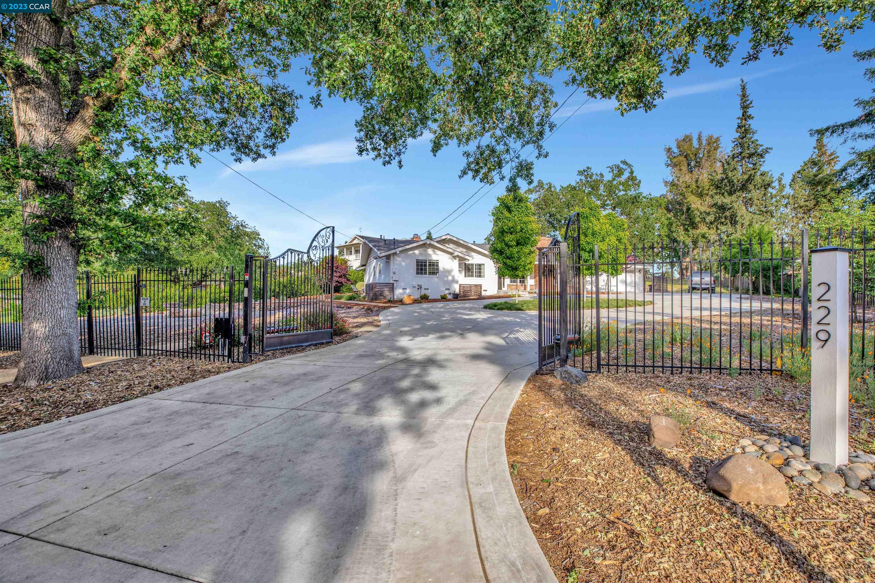 229 Smith Road Alamo, CA 94507 - Photo 1 of 1 a view of a park with large trees
