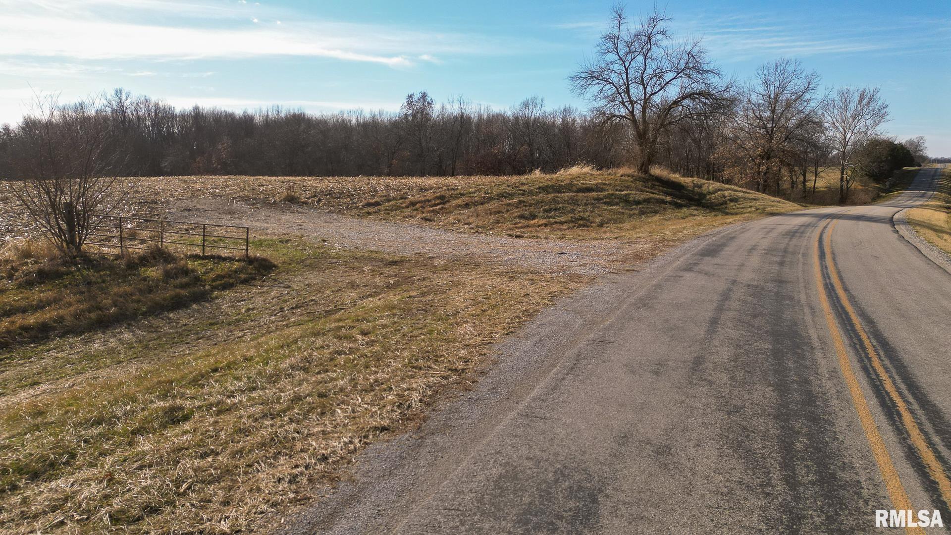 0 Salisbury Road Pleasant Plains, IL 62677 - Photo 8 of 47 Gallery Image 8