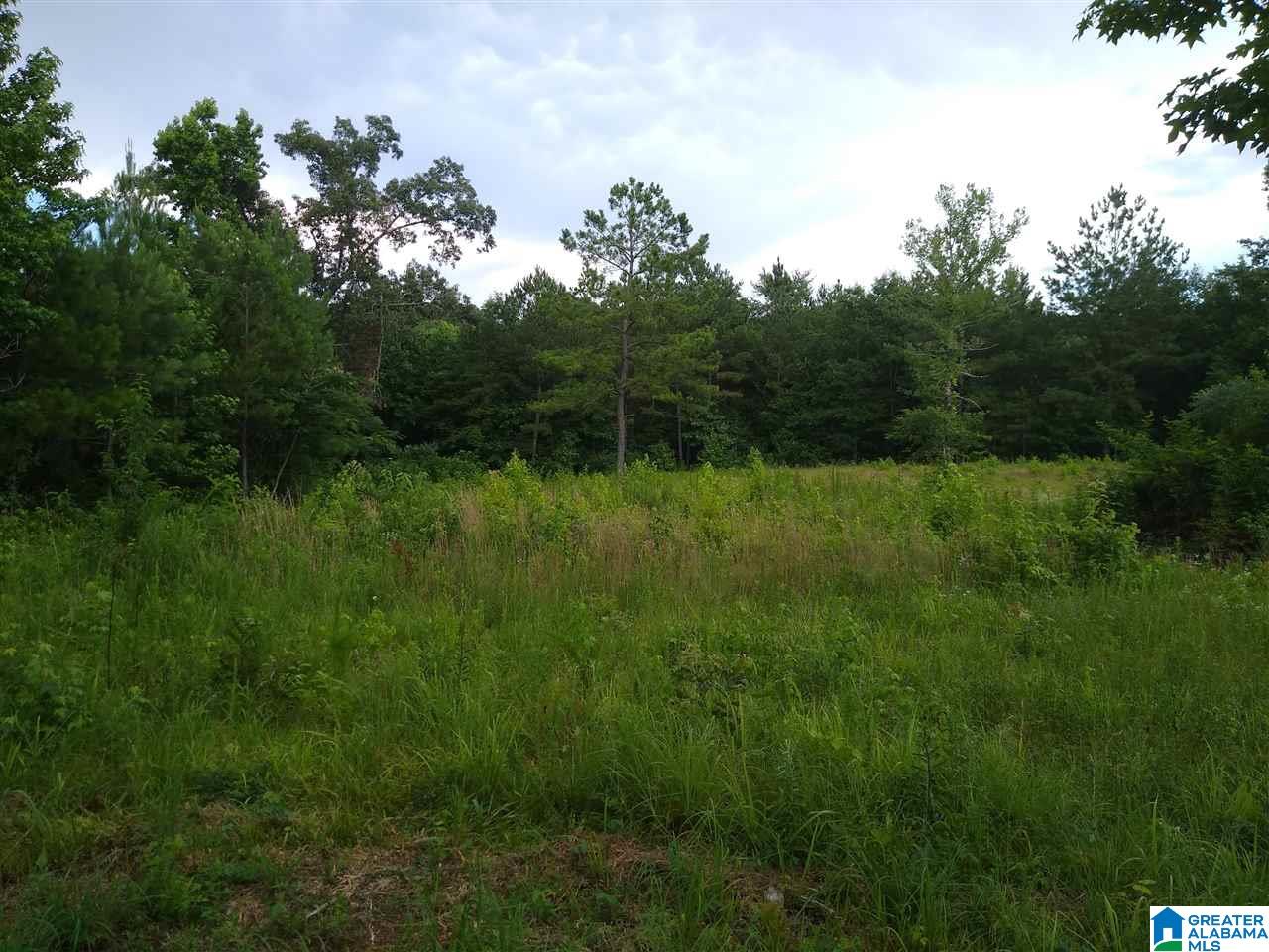 2700 Elvester Road, Unit 29 ACRES Warrior, AL 35180 - Photo 16 of 25 Gallery Image 16
