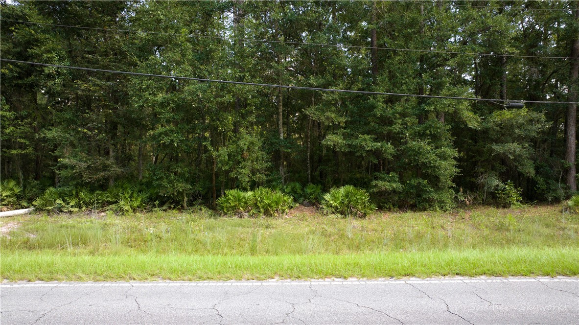 11.73 Acres On Smith Road Southeast Townsend, GA 31331 - Photo 2 of 7