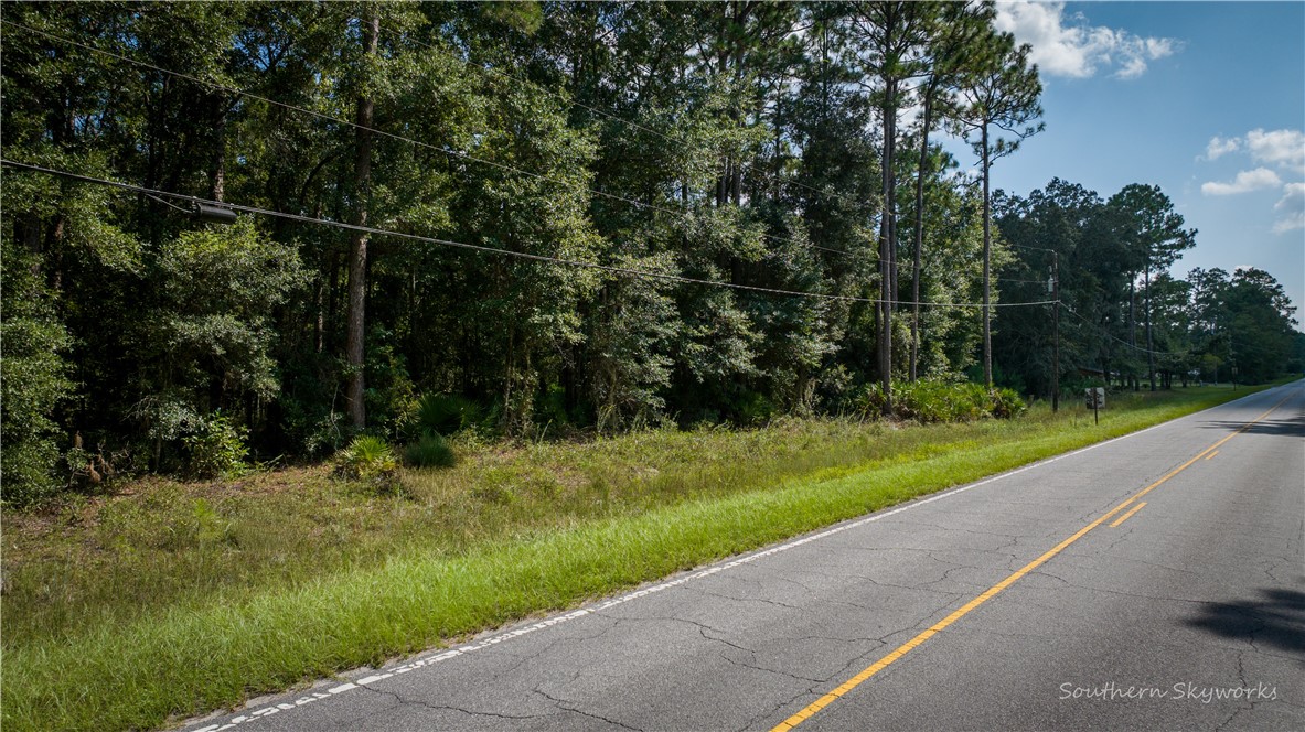 11.73 Acres On Smith Road Southeast Townsend, GA 31331 - Photo 4 of 7