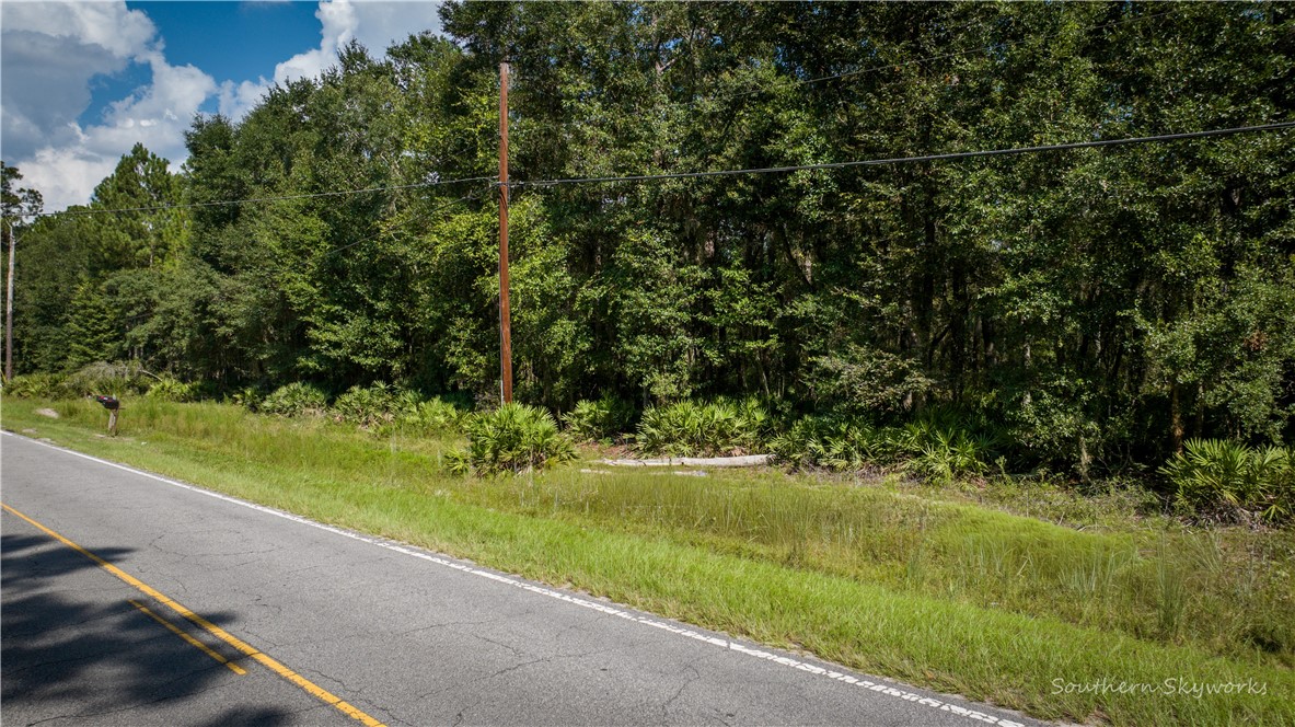11.73 Acres On Smith Road Southeast Townsend, GA 31331 - Photo 5 of 7