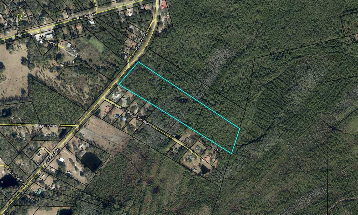 11.73 Acres On Smith Road Southeast Townsend, GA 31331 - Photo 6 of 7