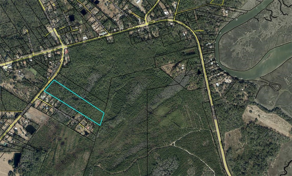 11.73 Acres On Smith Road Southeast Townsend, GA 31331 - Photo 7 of 7