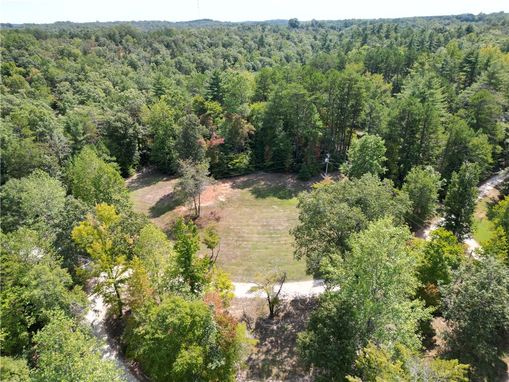 135 Crowes Drive Walhalla, SC 29691 - Photo 43 of 49