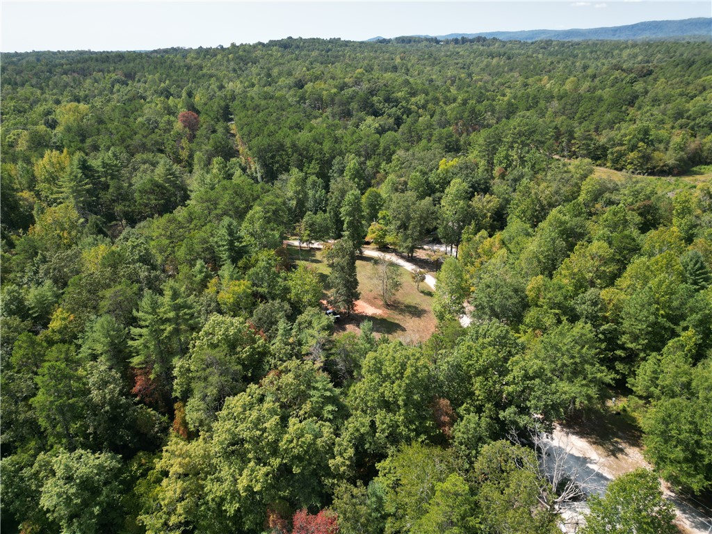 135 Crowes Drive Walhalla, SC 29691 - Photo 45 of 49