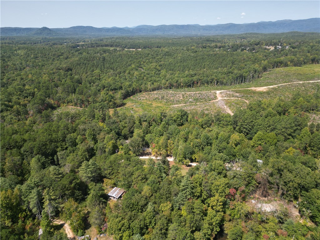 135 Crowes Drive Walhalla, SC 29691 - Photo 46 of 49