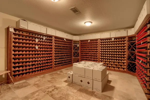 a tree in a backyard of a house