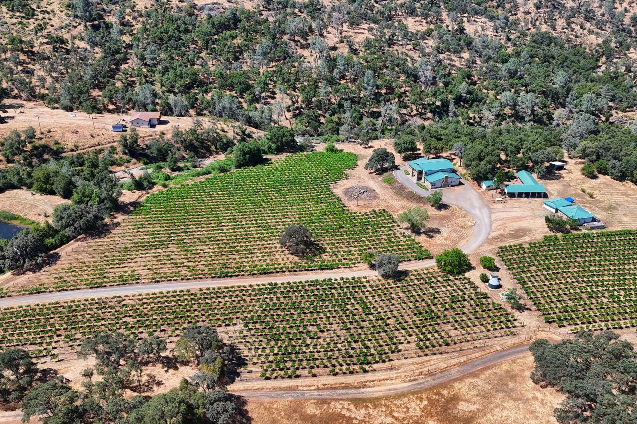 7551 Hunters Valley Road Mariposa, CA 95338 - Photo 51 of 78