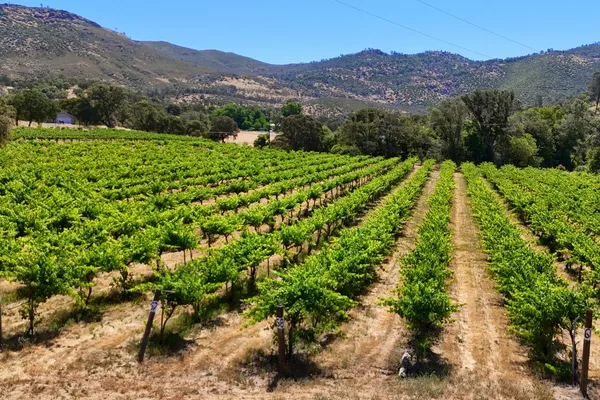 $1,499,900 | 7551 Hunters Valley Road, Mariposa, CA 95338