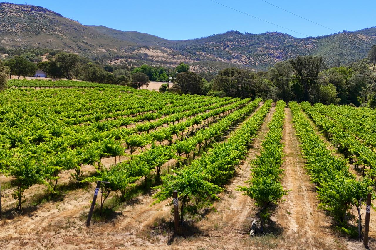 7551 Hunters Valley Road Mariposa, CA 95338 - Photo 52 of 78 a view of a lush green hillside and a houses