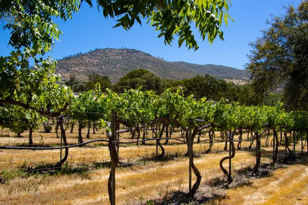 $1,499,900 | 7551 Hunters Valley Road, Mariposa, CA 95338