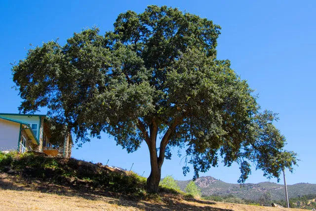 $1,499,900 | 7551 Hunters Valley Road, Mariposa, CA 95338