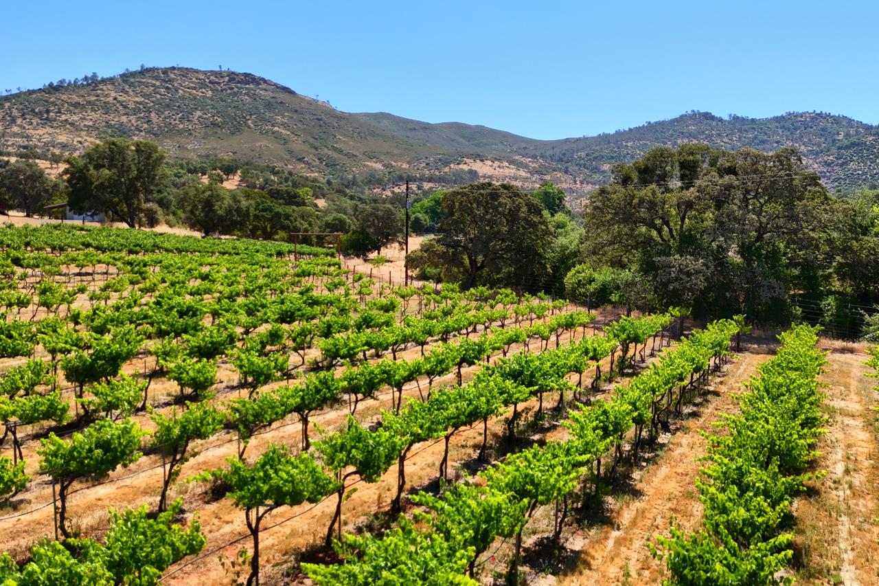 7551 Hunters Valley Road Mariposa, CA 95338 - Photo 66 of 78 a view of a lush green hillside and a building