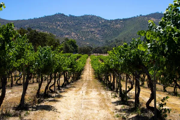 $1,499,900 | 7551 Hunters Valley Road, Mariposa, CA 95338