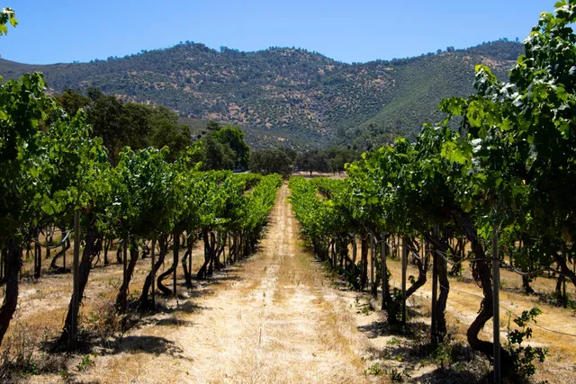 $1,499,900 | 7551 Hunters Valley Road, Mariposa, CA 95338