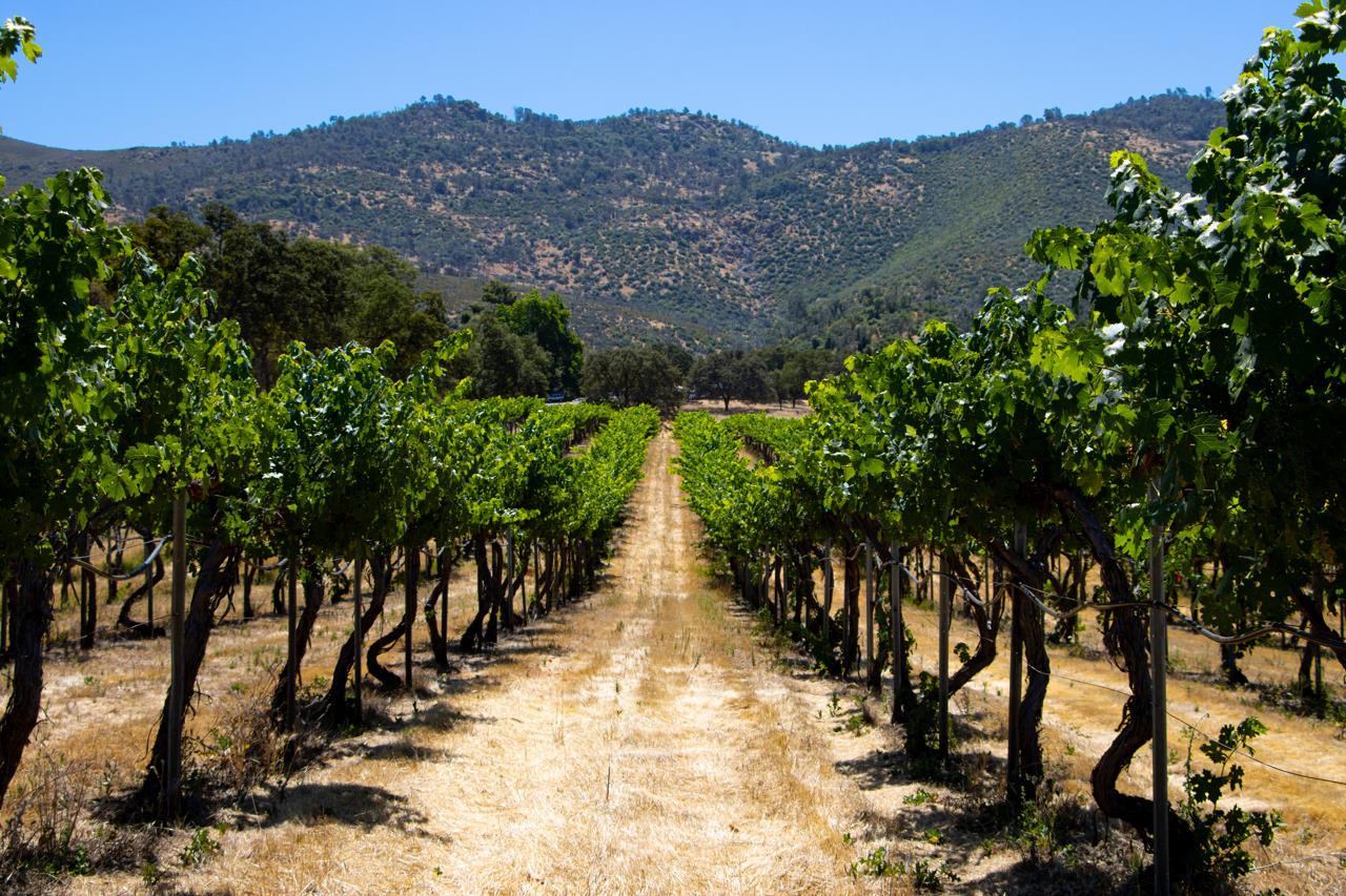 7551 Hunters Valley Road Mariposa, CA 95338 - Photo 67 of 78