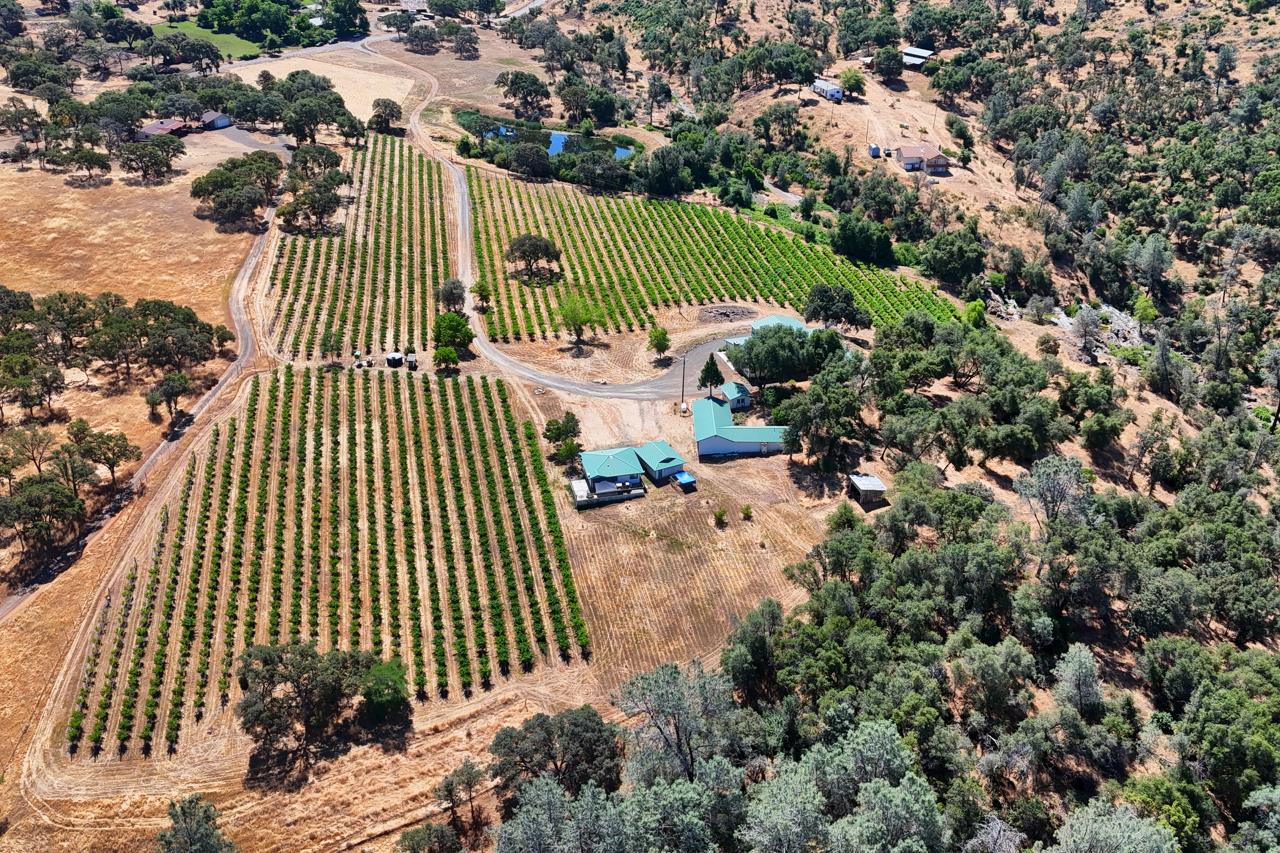 7551 Hunters Valley Road Mariposa, CA 95338 - Photo 68 of 78 an aerial view of a garden