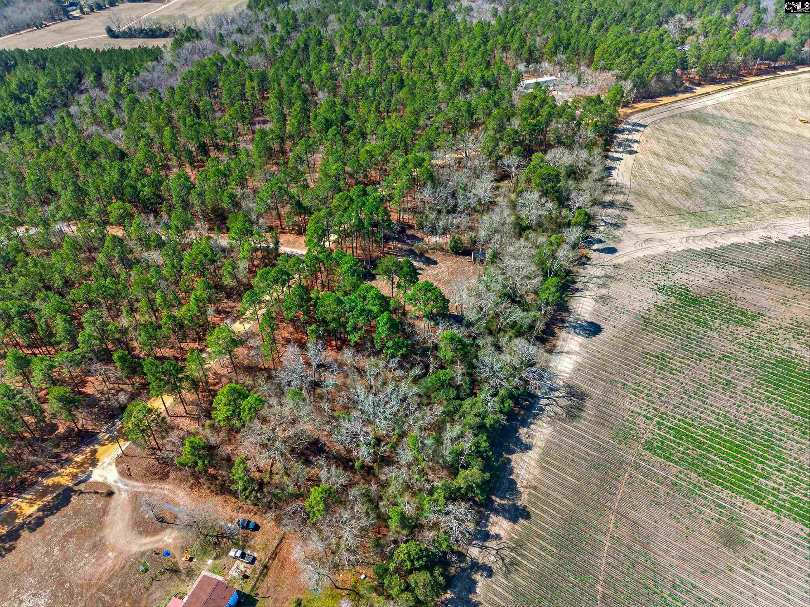 0 Rimrock Road Leesville, SC 29070 - Photo 10 of 11