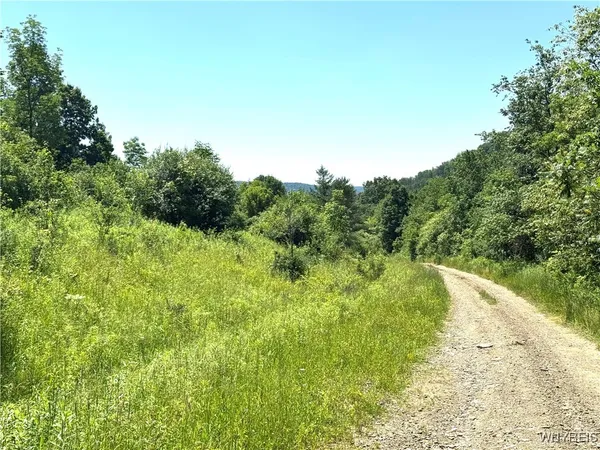 $45,000 | Gile Hollow Road, Hinsdale, NY 14743