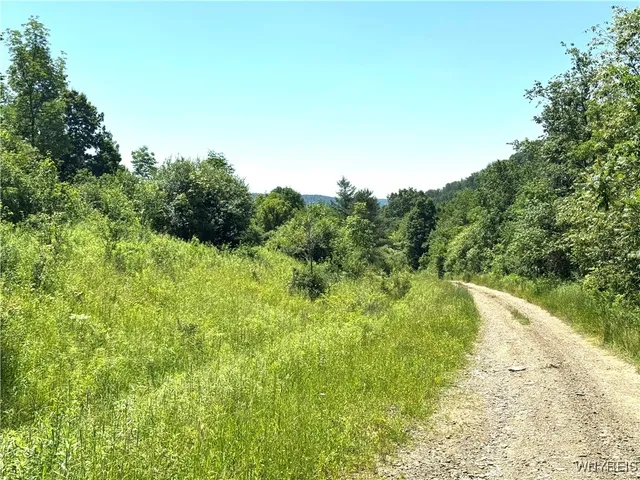$45,000 | Gile Hollow Road, Hinsdale, NY 14743