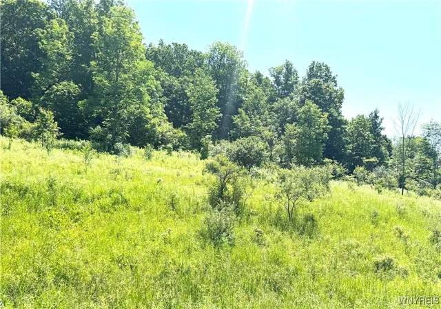 $45,000 | Gile Hollow Road, Hinsdale, NY 14743