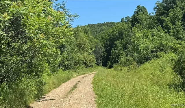 $45,000 | Gile Hollow Road, Hinsdale, NY 14743