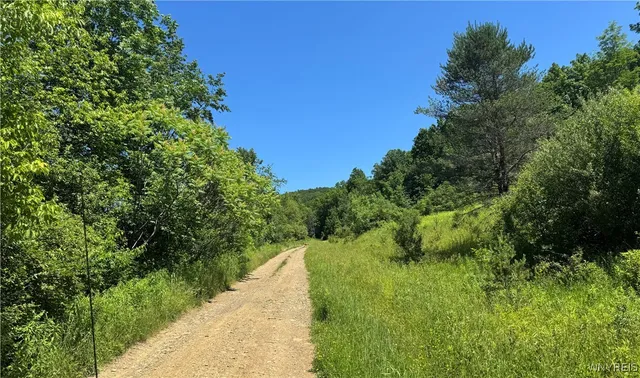 $45,000 | Gile Hollow Road, Hinsdale, NY 14743