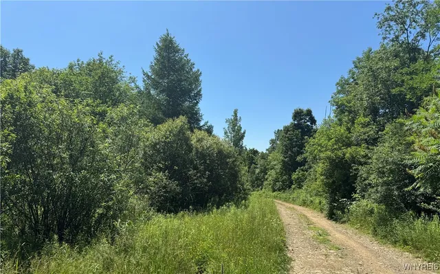 $45,000 | Gile Hollow Road, Hinsdale, NY 14743