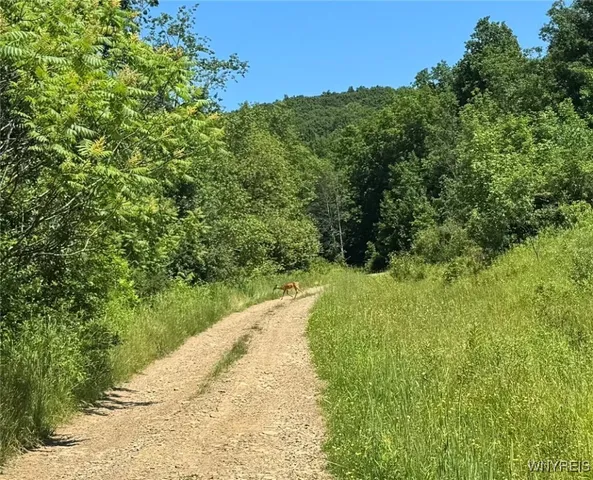 $45,000 | Gile Hollow Road, Hinsdale, NY 14743