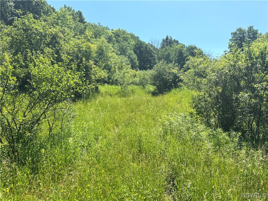 Gile Hollow Road Hinsdale, NY 14743 - Photo 8 of 9