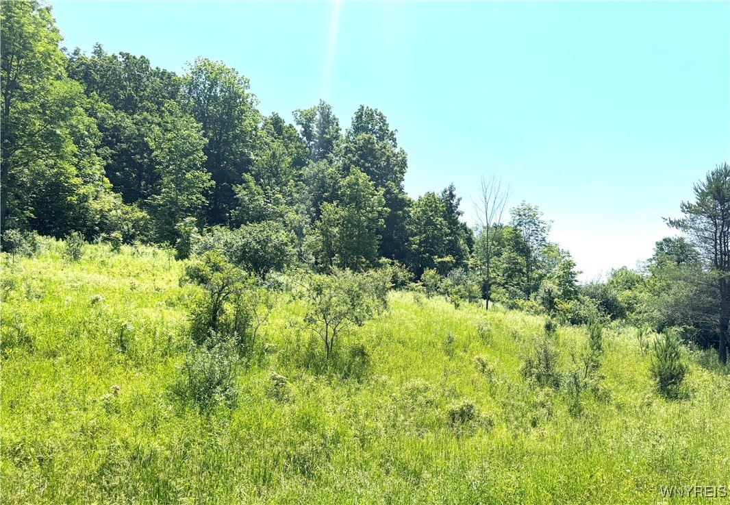 Gile Hollow Road Hinsdale, NY 14743 - Photo 9 of 9