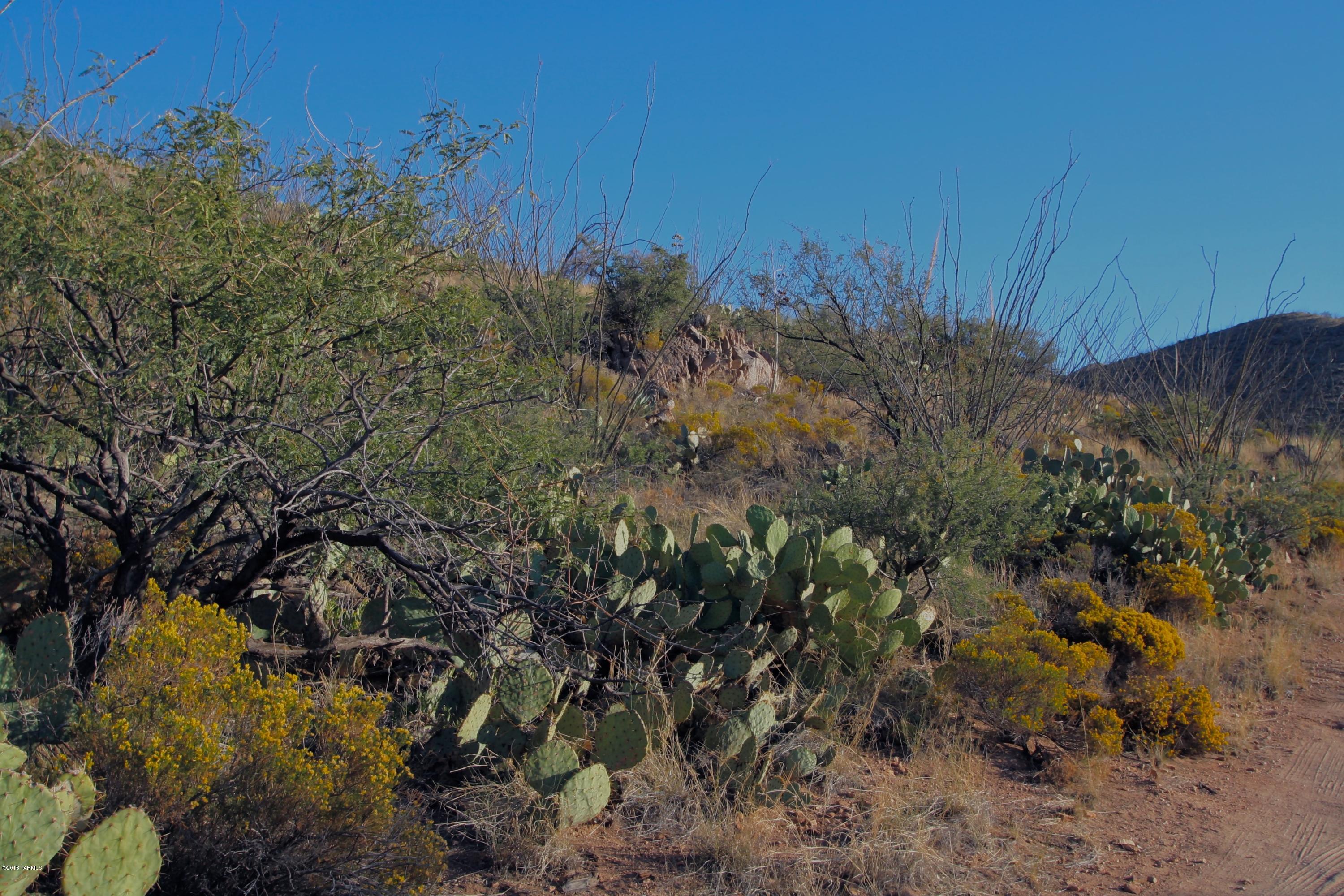 South Little Fawn Vail, AZ 85641 - Photo 7 of 12