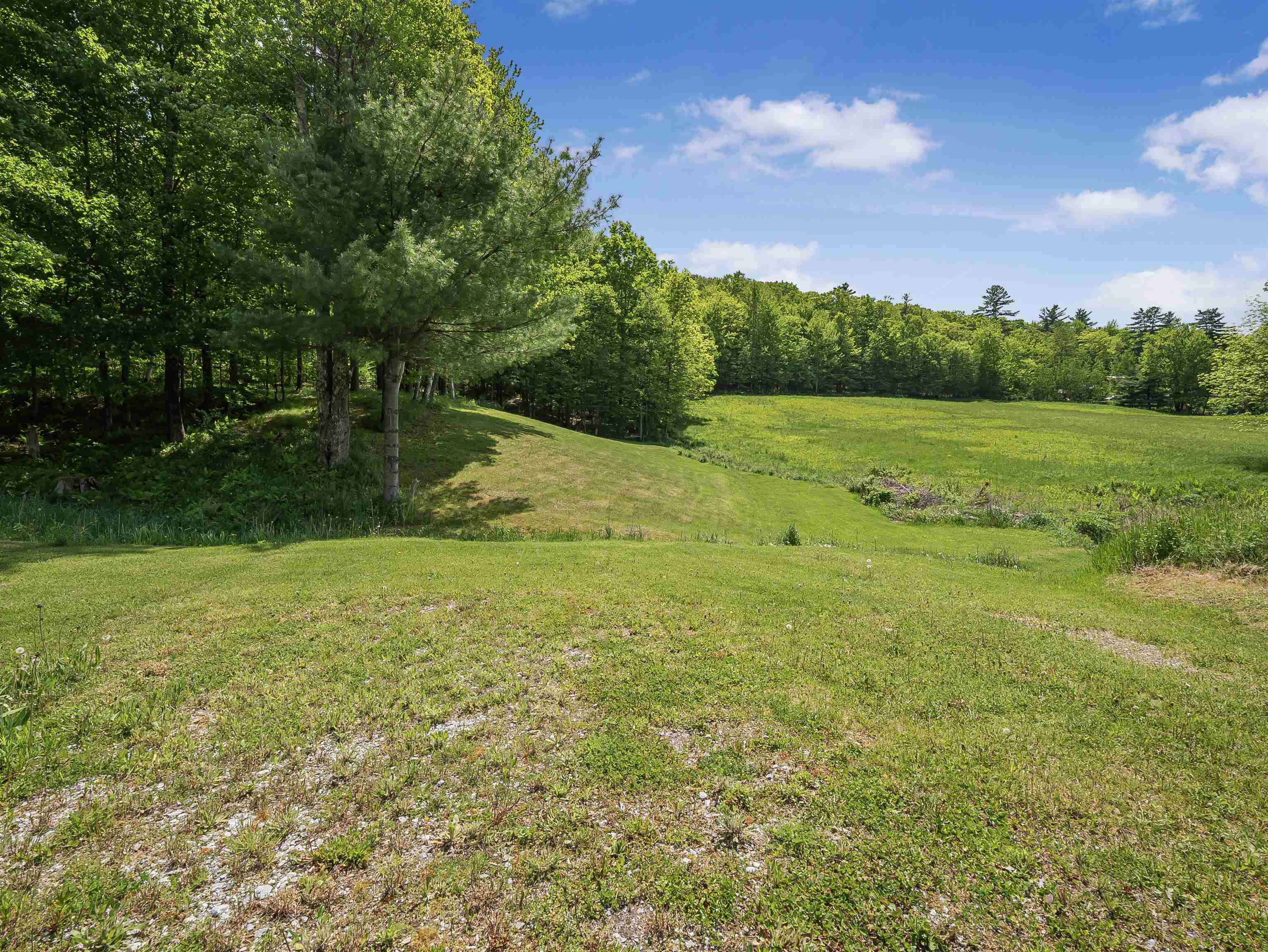 174 Biddie Knob Road Hubbardton, VT 05735 - Photo 27 of 31