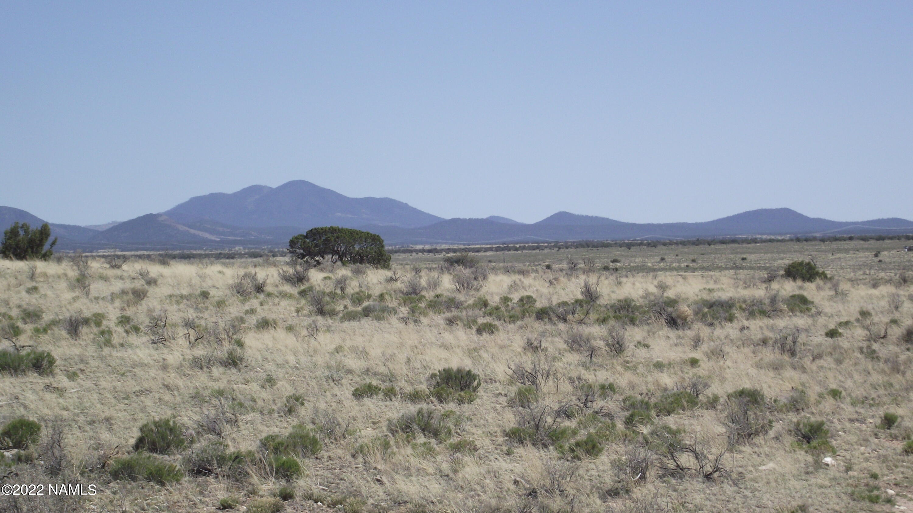 578 East Concho Road Williams, AZ 86046 - Photo 4 of 13 DSCF6240