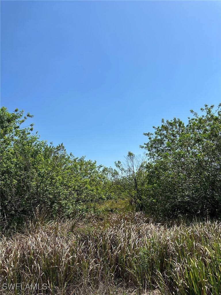 6389 6th Road Clewiston, FL 33440 - Photo 3 of 5
