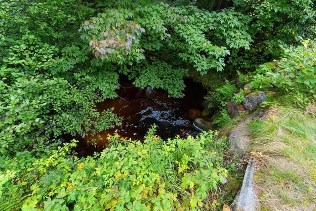 $399,000 | 2439 Quiet Cove Road, Tomahawk, WI 54487