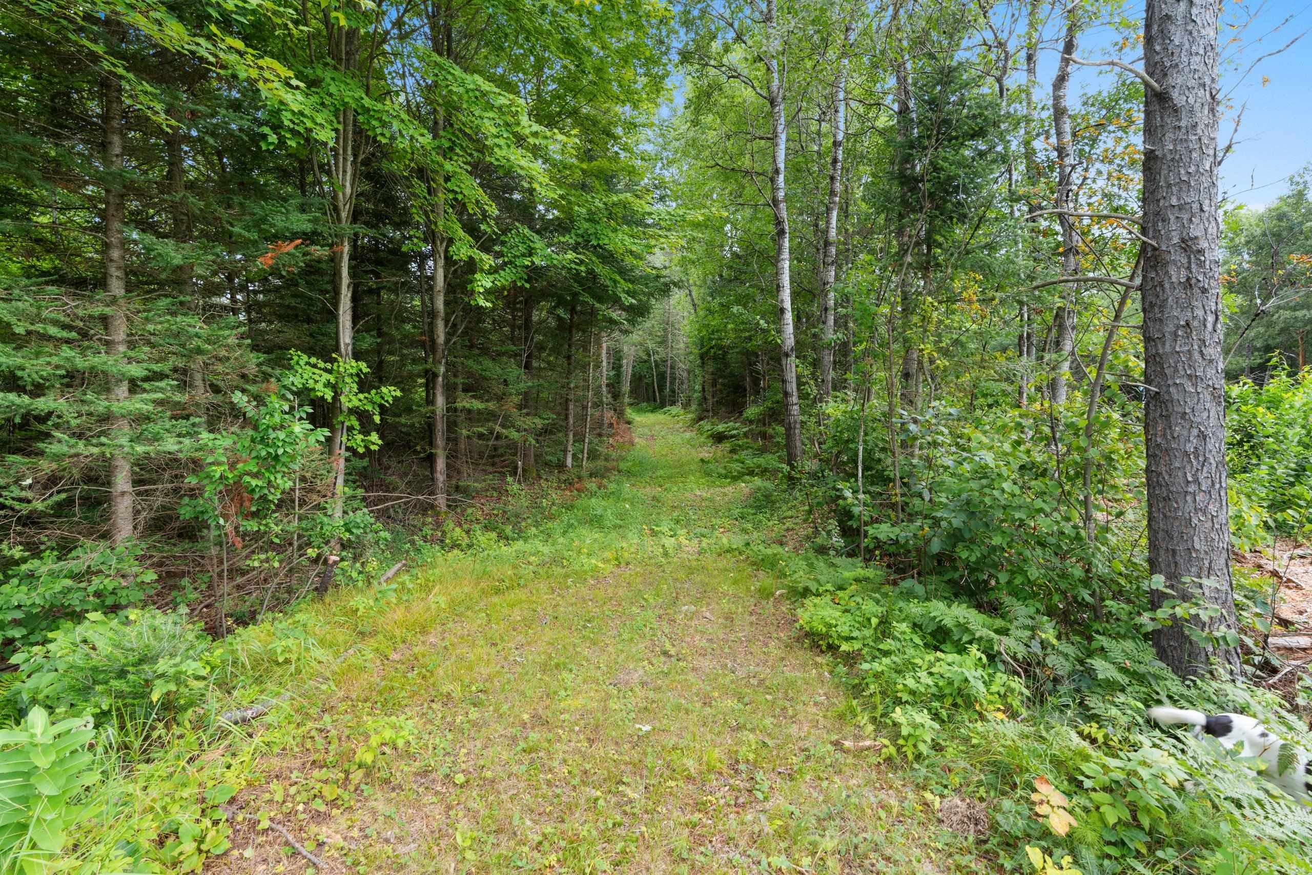 2439 Quiet Cove Road Tomahawk, WI 54487 - Photo 18 of 35