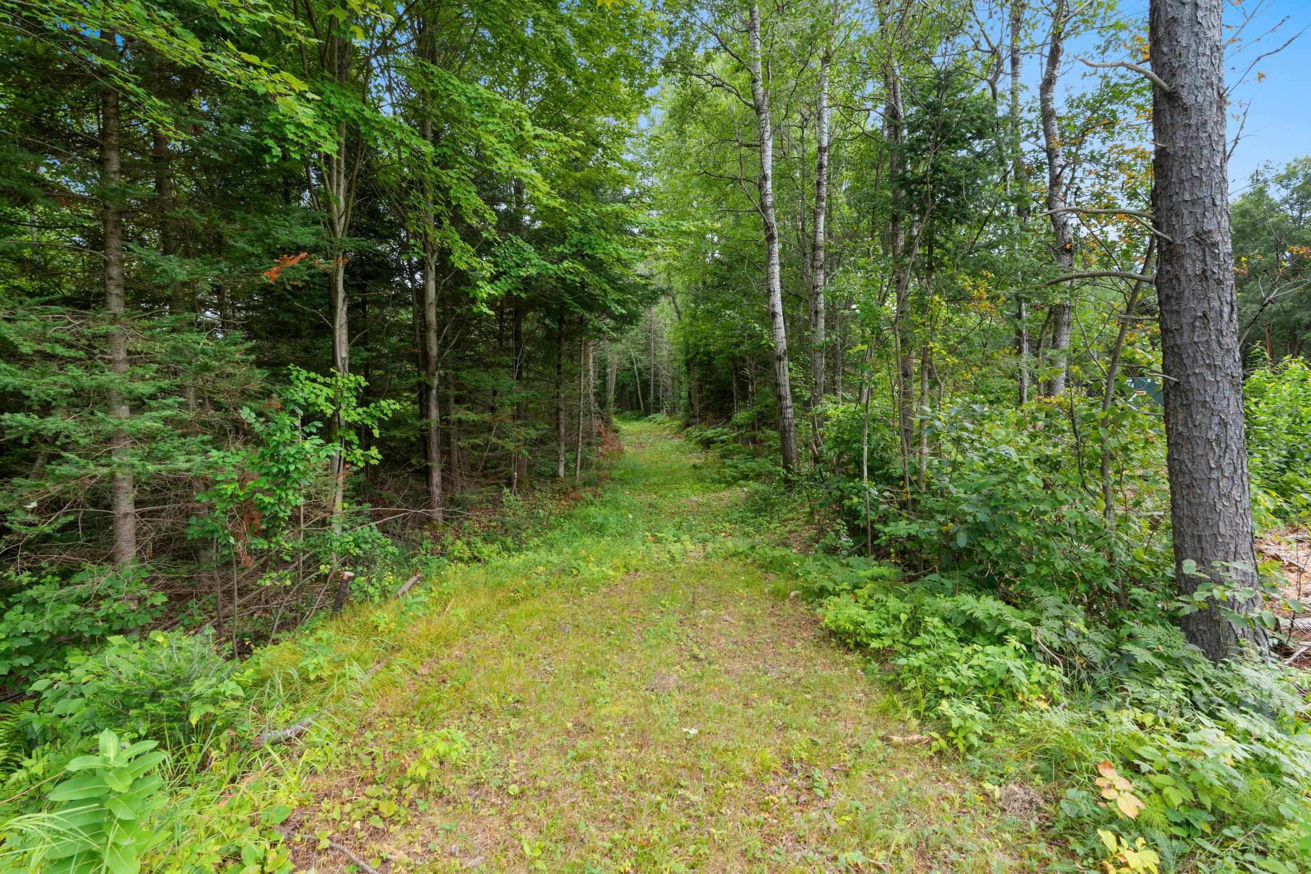2439 Quiet Cove Road Tomahawk, WI 54487 - Photo 19 of 35