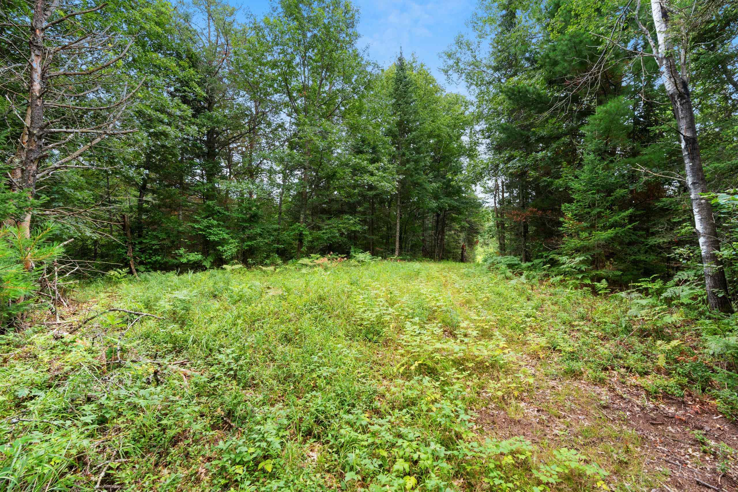 2439 Quiet Cove Road Tomahawk, WI 54487 - Photo 20 of 35
