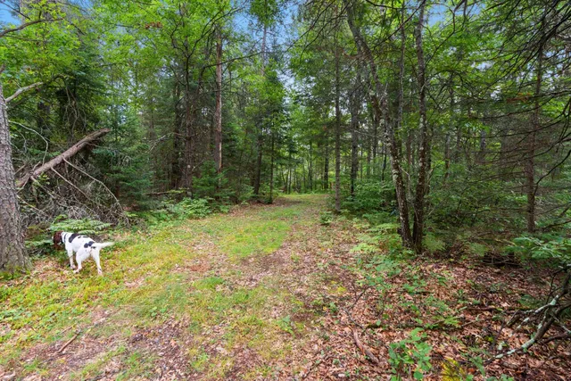 $399,000 | 2439 Quiet Cove Road, Tomahawk, WI 54487