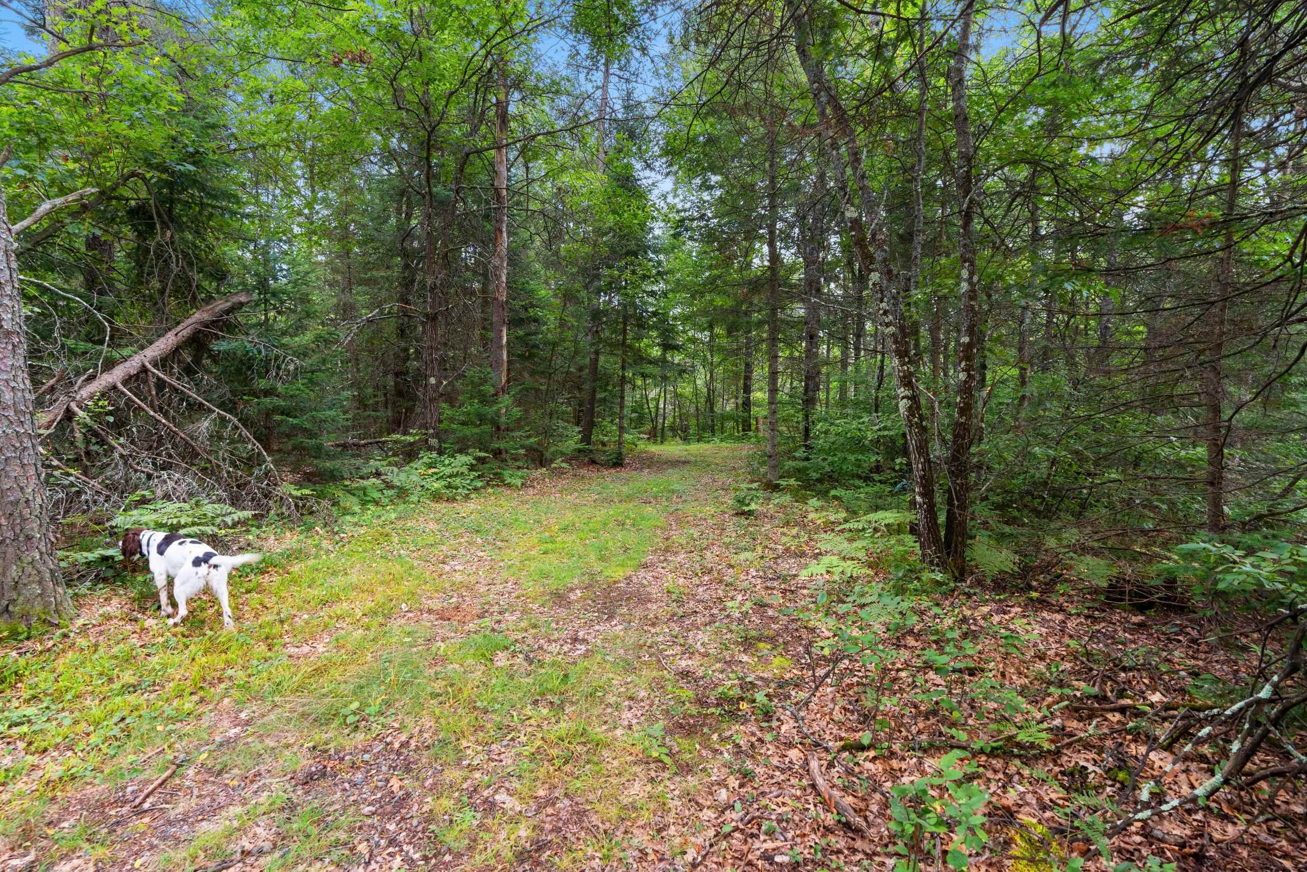 2439 Quiet Cove Road Tomahawk, WI 54487 - Photo 24 of 35