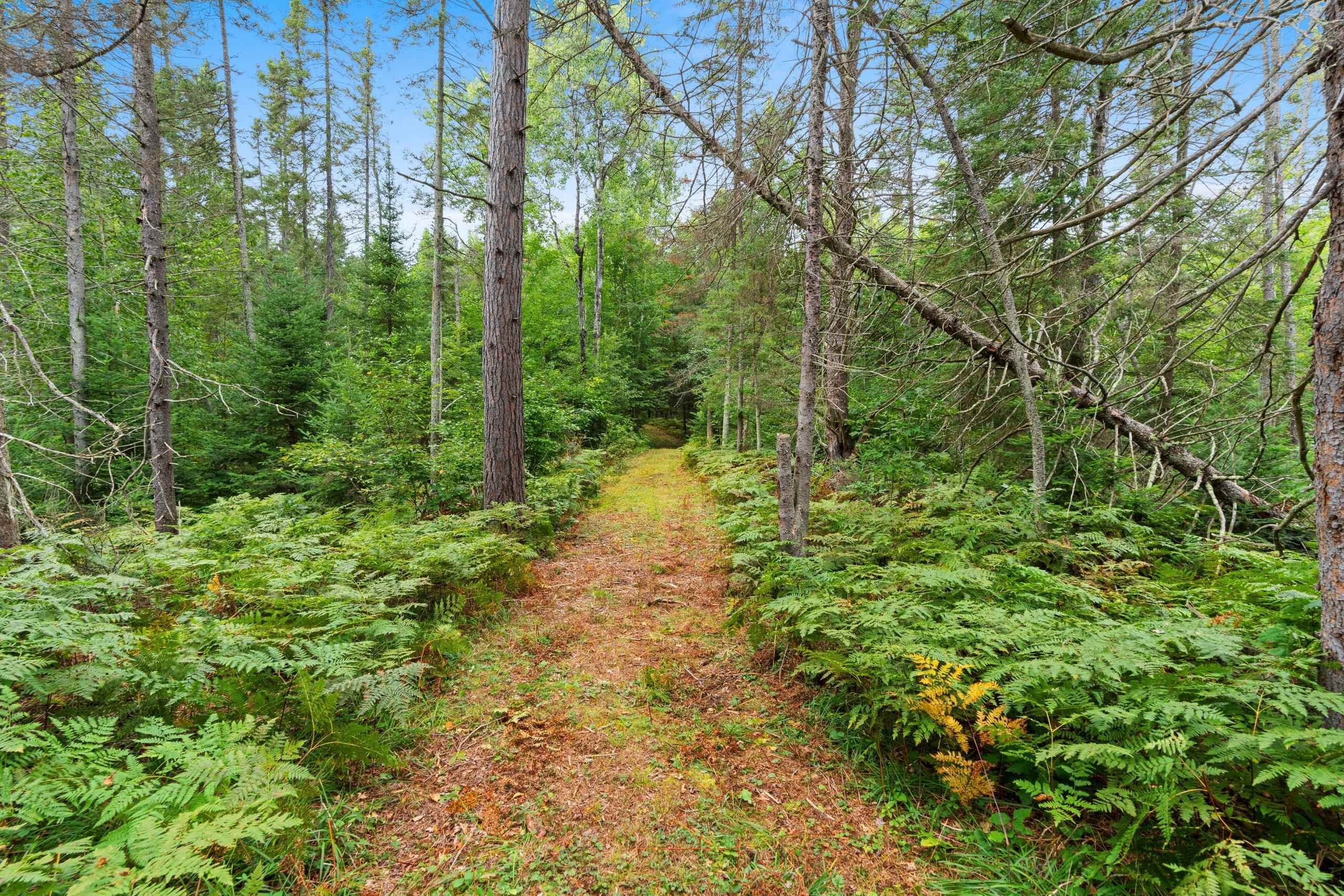 2439 Quiet Cove Road Tomahawk, WI 54487 - Photo 26 of 35