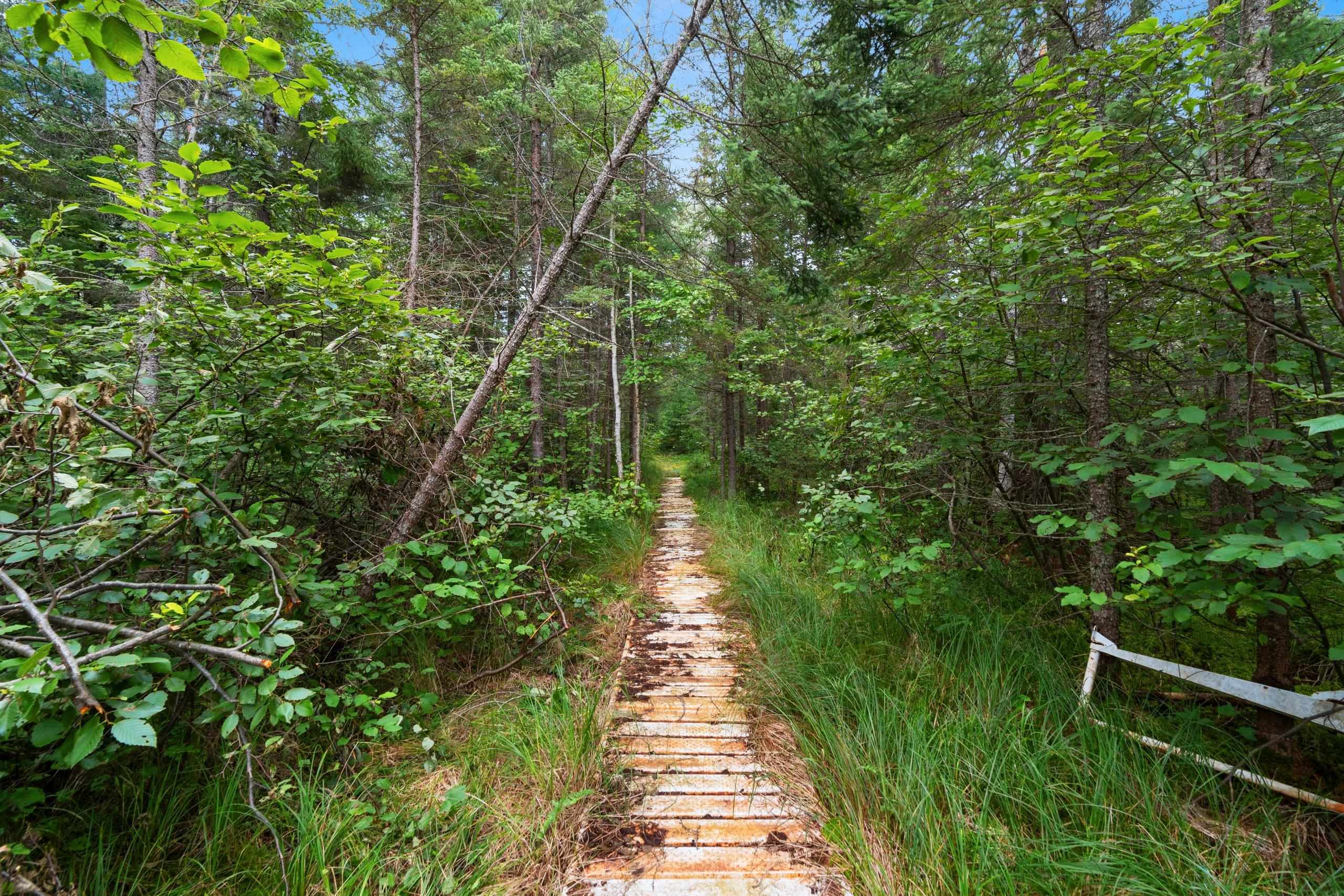 2439 Quiet Cove Road Tomahawk, WI 54487 - Photo 27 of 35