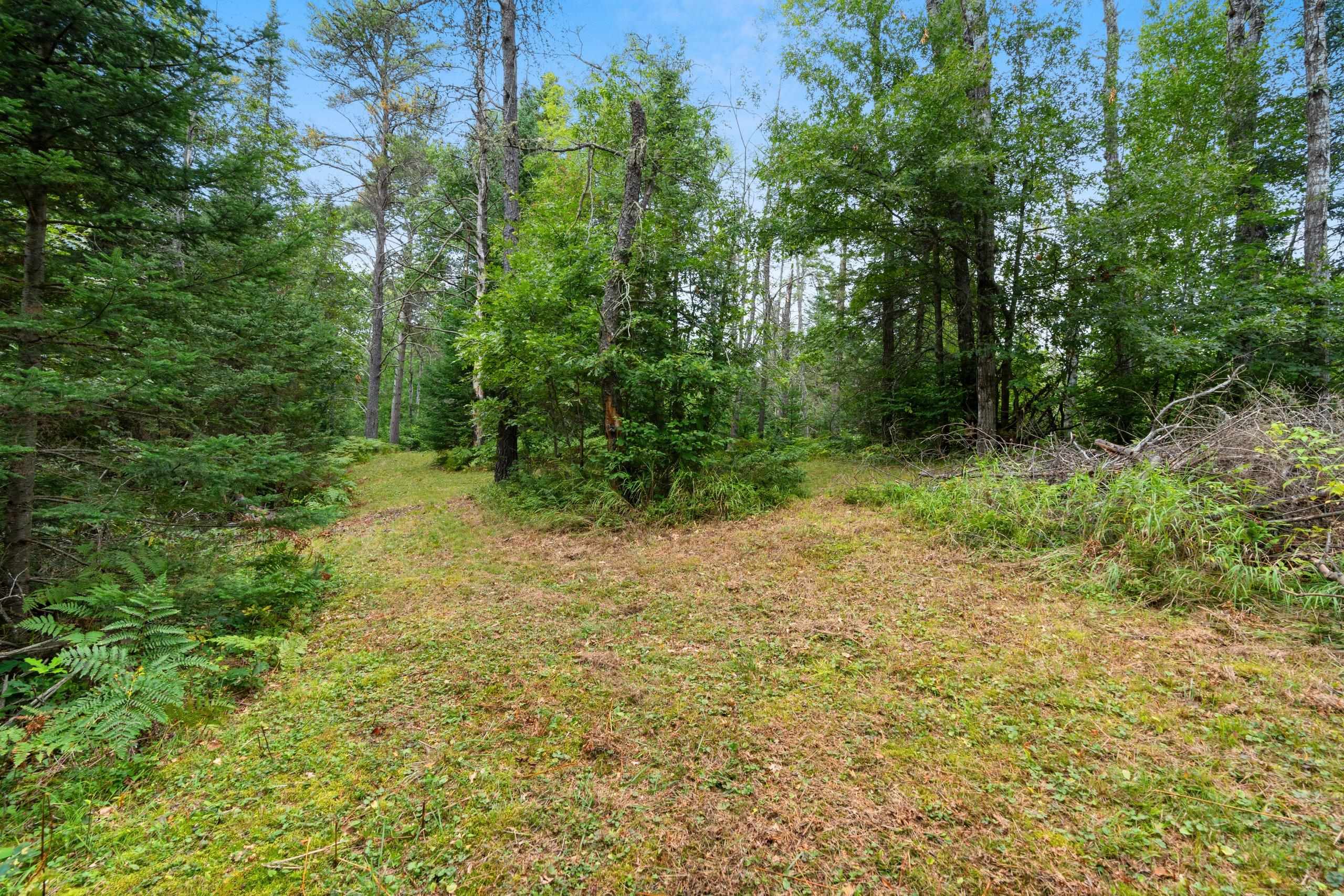 2439 Quiet Cove Road Tomahawk, WI 54487 - Photo 28 of 35